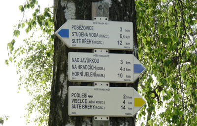 Turistický rozcestník na bříze u nádraží, do lesa Viselce 4 km vpravo vede žlutá.